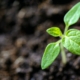 labels et certifications bio