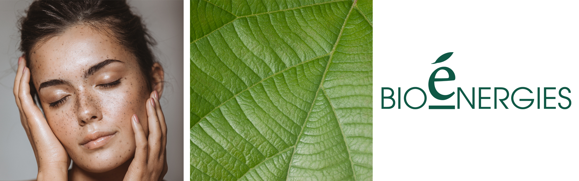 complément alimentaire bio